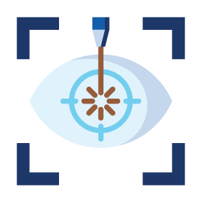 Lasik Icon